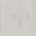 arctic_maple