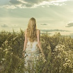 springtime_logo