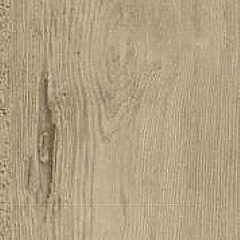 bleached_larch