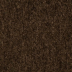 bracken_1006610869