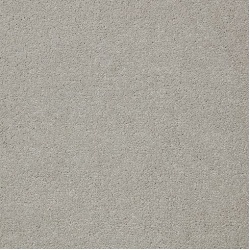 alloy_grey_overhead_low_res_1