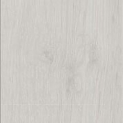 arctic_maple