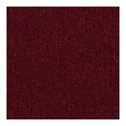 aubergine_658542383