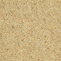 barley-corn