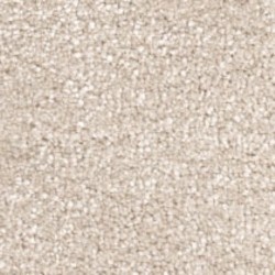 cambrianstone