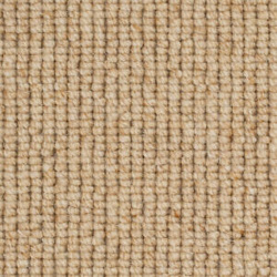 causeway-carpets-nature-earth-beachcomber