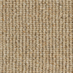 causeway-carpets-nature-earth-cove_2065516313