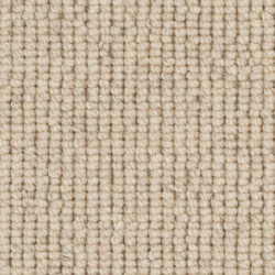 causeway-carpets-nature-earth-driftwood