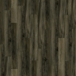 evening_oak