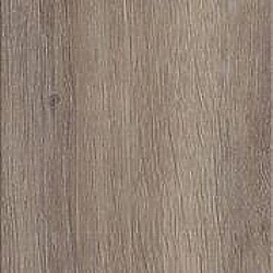 harbour_oak