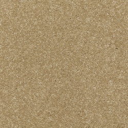 riva_wattle_overhead