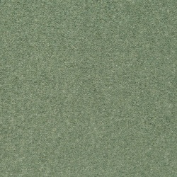 shoreline-samphire