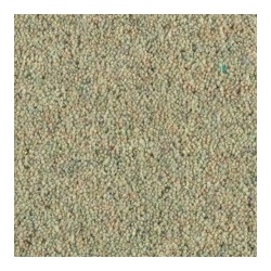 spearmint_1729115205