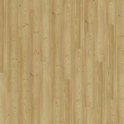 spruce_norma