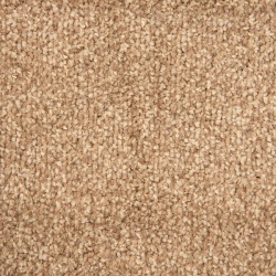 taupe_1245760414