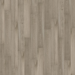 tawny_oak