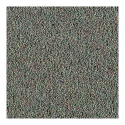 thyme_1201758855