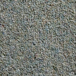 tweed_barra
