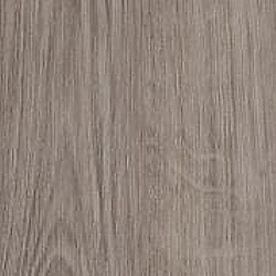 winter_oak